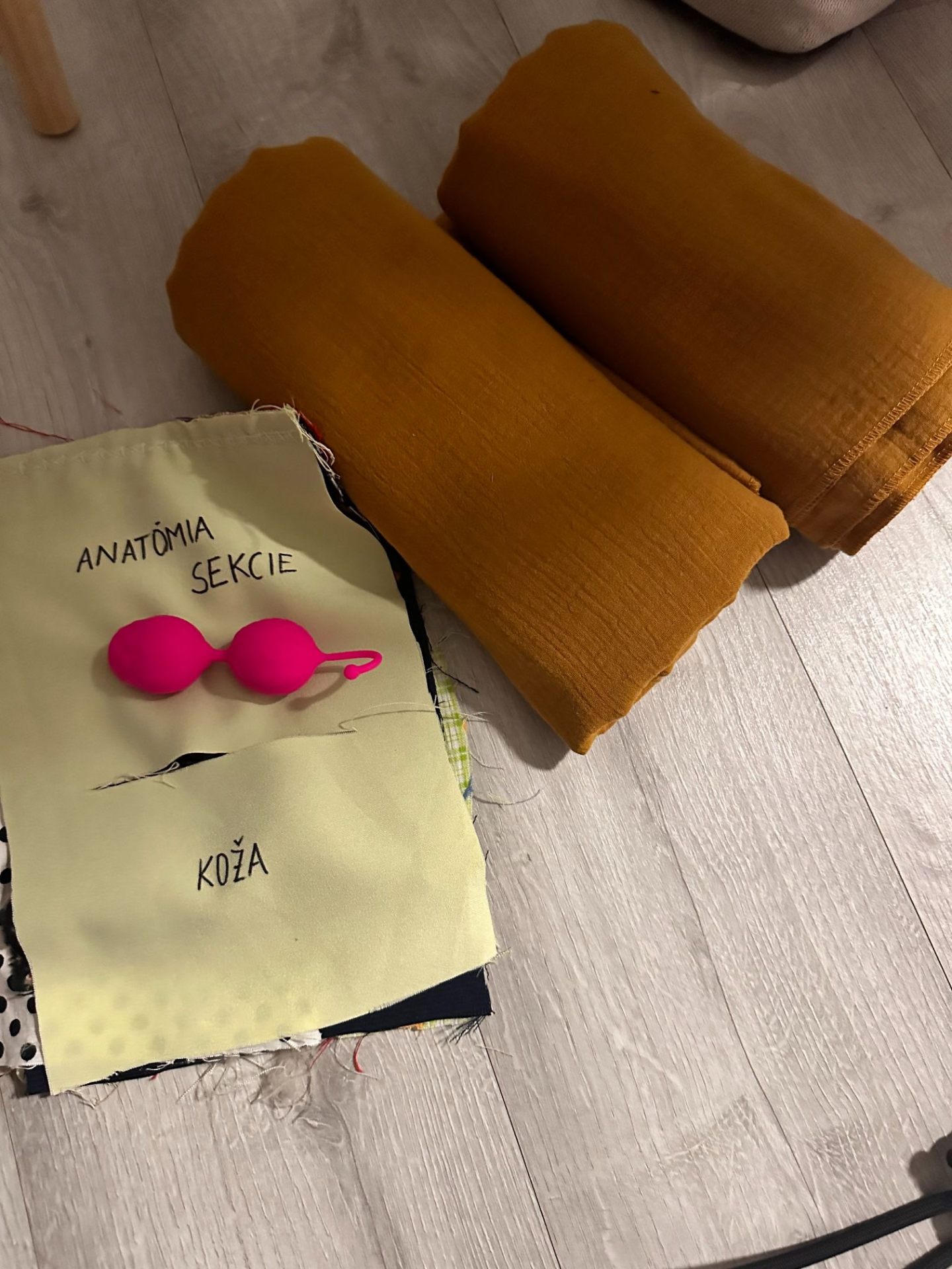 Materiály na anatómiu - vzdelávacie pomôcky